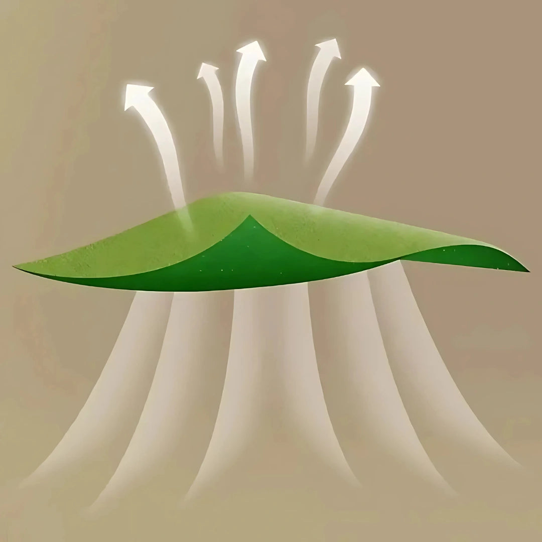 Dr. Vitalex FlexiRelief™ Patch 36 Pcs